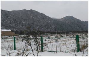 ��ʱ��ҳ��(�й���)�ٷ���վ