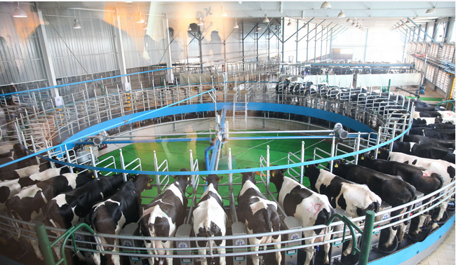 ��ʱ��ҳ��(�й���)�ٷ���վ