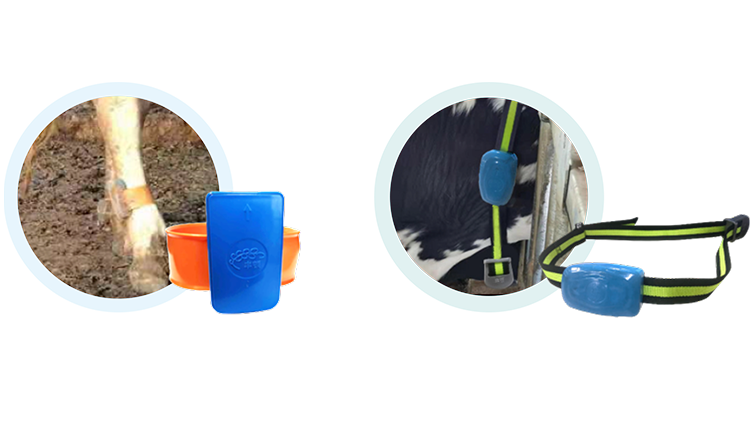 ��ʱ��ҳ��(�й���)�ٷ���վ