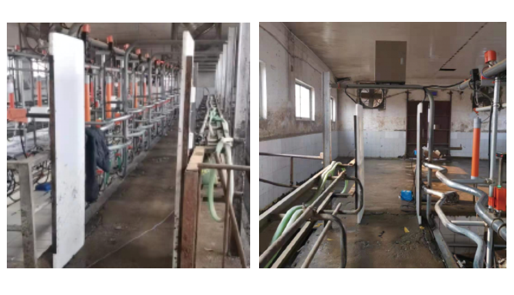 ��ʱ��ҳ��(�й���)�ٷ���վ