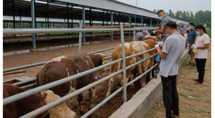 ��ʱ��ҳ��(�й���)�ٷ���վ