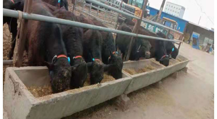 ��ʱ��ҳ��(�й���)�ٷ���վ