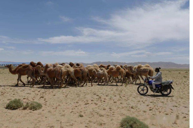 ��ʱ��ҳ��(�й���)�ٷ���վ