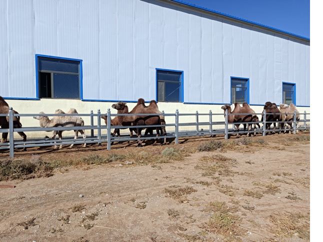 ��ʱ��ҳ��(�й���)�ٷ���վ