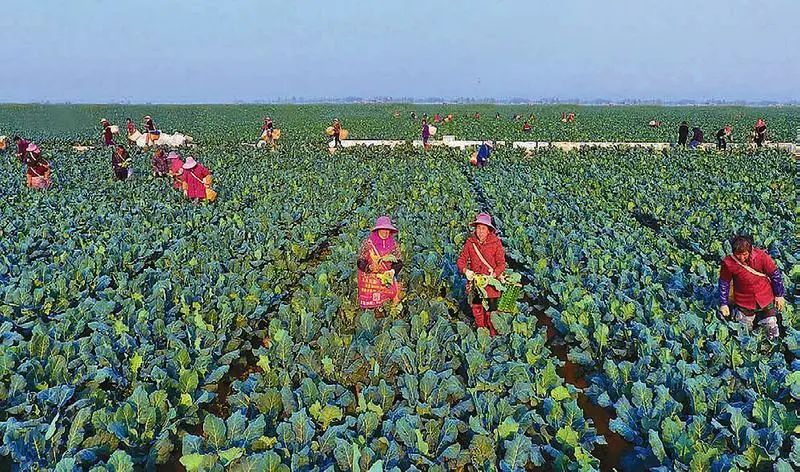 ��ʱ��ҳ��(�й���)�ٷ���վ