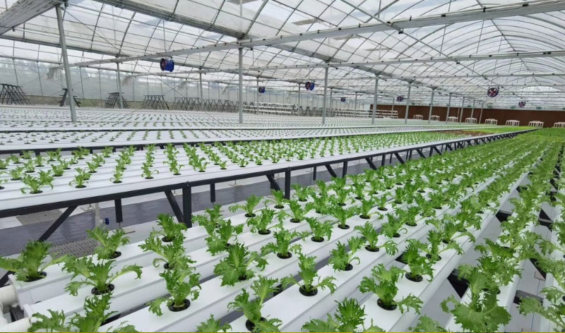 ��ʱ��ҳ��(�й���)�ٷ���վ