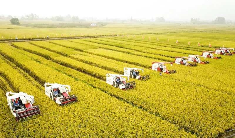 ��ʱ��ҳ��(�й���)�ٷ���վ