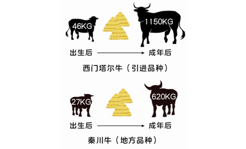 ��ʱ��ҳ��(�й���)�ٷ���վ