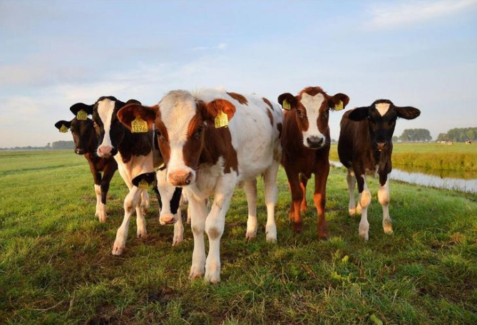 ��ʱ��ҳ��(�й���)�ٷ���վ